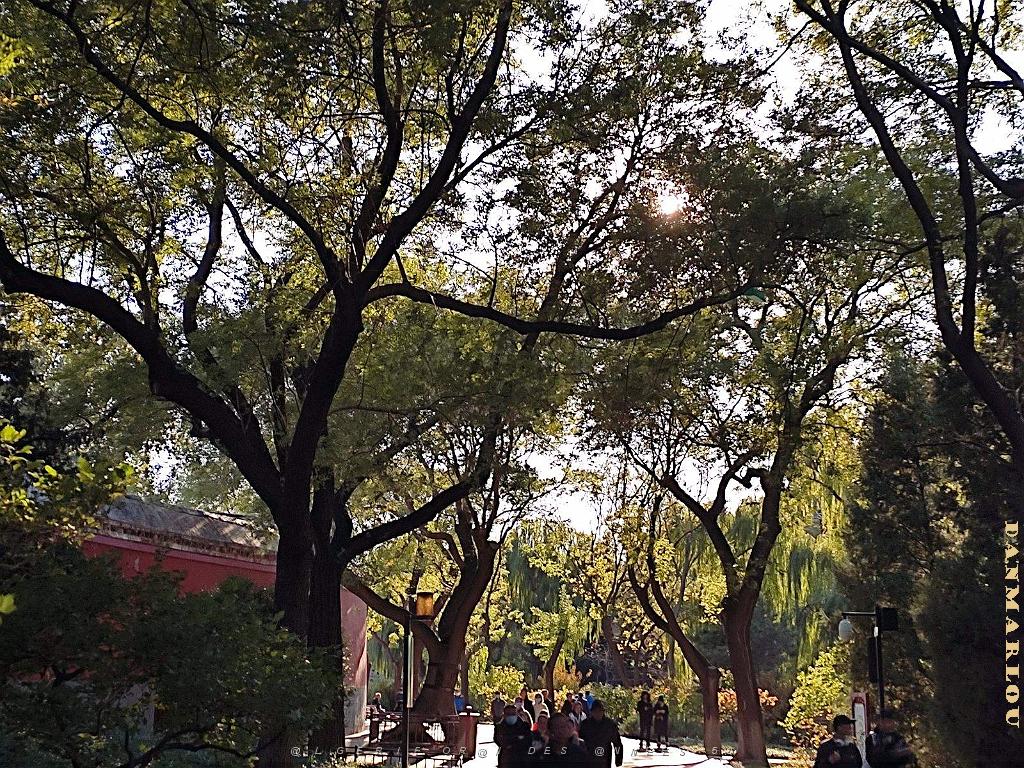 2023 11 PEKIN - PARC BEIHAI (16).jpg